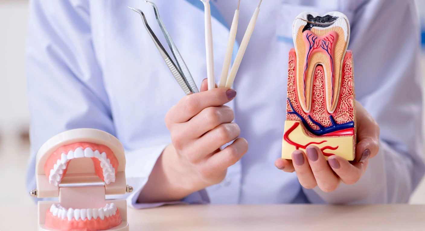 molde-3D-diente-con-caries-en-nervio Mujer profesional sonriendo con confianza, reflejando la seguridad que brindan los implantes dentales fijos.